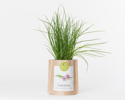 Grow your own chives in this bag