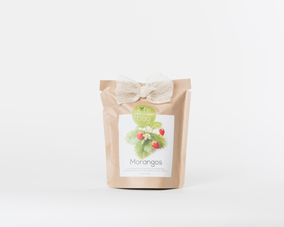 Grow your own strawberries in this bag
