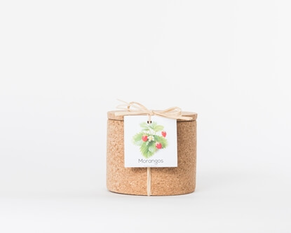 Grow your strawberry in this cork pot