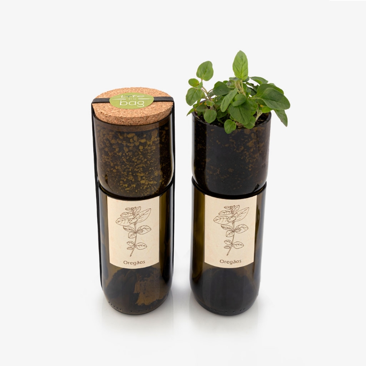 Grow oregano in this bottle