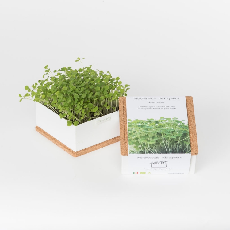 Grow microgreens of rocket